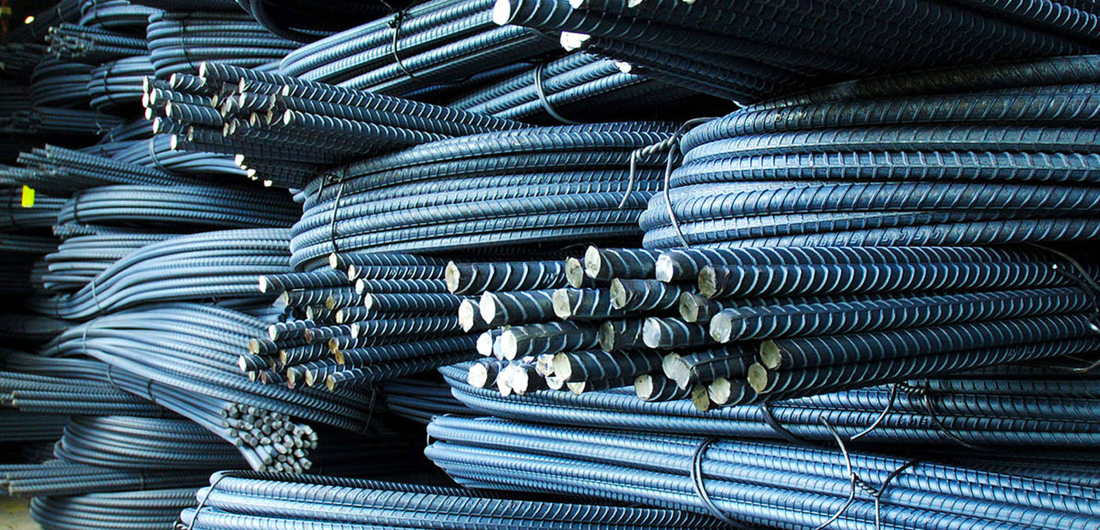 THOMPSON ISPAT STEEL UDYOG